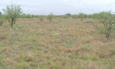 Box image