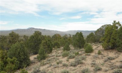 Box image
