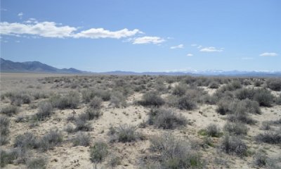 Box image