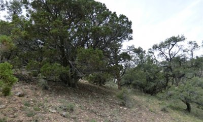 Box image