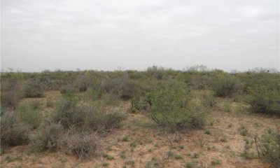 Box image