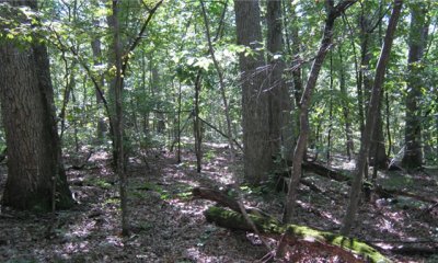 Box image
