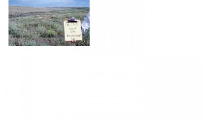 Box image
