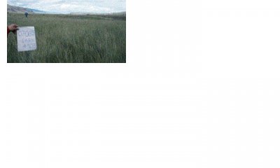 Box image