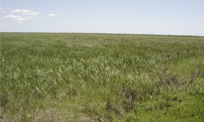 Box image
