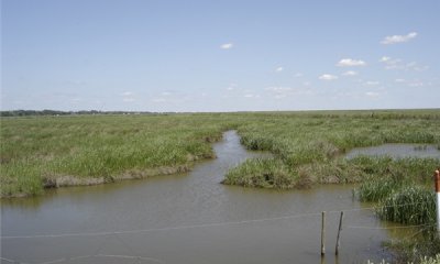Box image