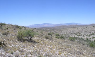 Box image