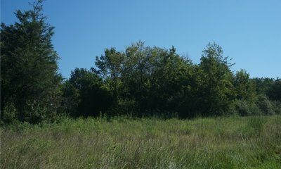 Box image