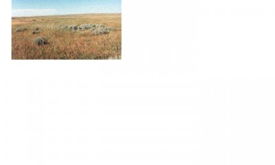 Box image