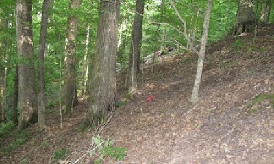 Reference State: Mesophytic Forest