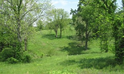 Grassland/Pastureland State