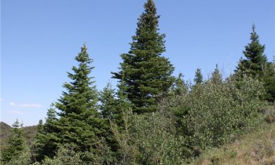 Box image