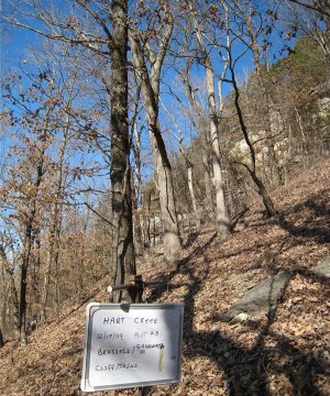 Box image