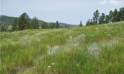 Box image