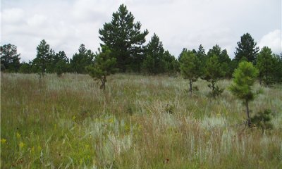 Box image