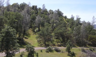 Box image
