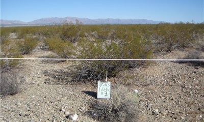 Box image