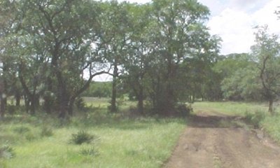 Box image