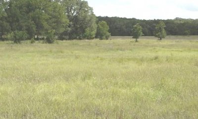 Box image