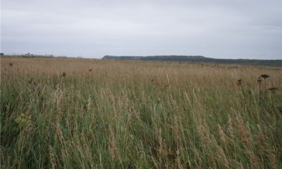 Box image