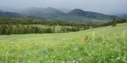 Central Rocky Mountains