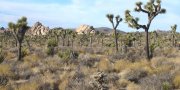 Mojave Basin and Range