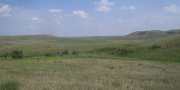 Northern Dark Brown Glaciated Plains