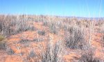 Deep sand, SPGI2, El Paso, TX