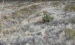 BLM121002i Hills
