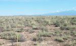 Gyp_upland_SPAI_ATCA2_LC_5_3b