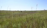 R075XY058NE_lu_plant_comm_1_1