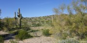 Sonoran Basin and Range