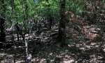 sandstone hill 3