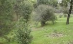 Picture1.3jpg.