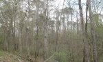 SSR_Hardwoods