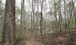 SSR_Outcrop