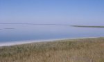 Baffin_SubGrasFlat