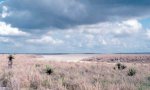 lalinda_clay_dune