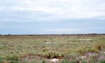 651_Malaquite_FS_Salt_Flat