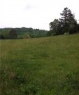 Pasture