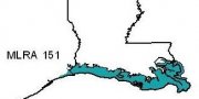 Gulf Coast Marsh
