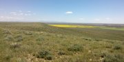 Brown Glaciated Plains