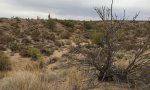 IMG_1858