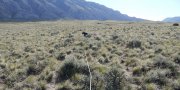 Northern Intermountain Desertic Basins