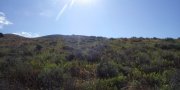 Eastern Idaho Plateaus