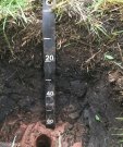 1.3soilsb
