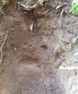 1.1soil