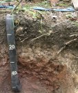 1.2soil