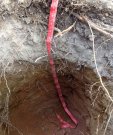2.1soil