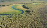 aerial_image